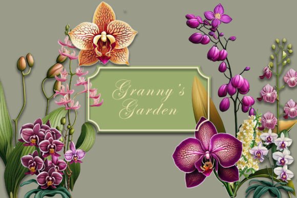 Granny's Garden Floral Png Illustrations for Your Projects